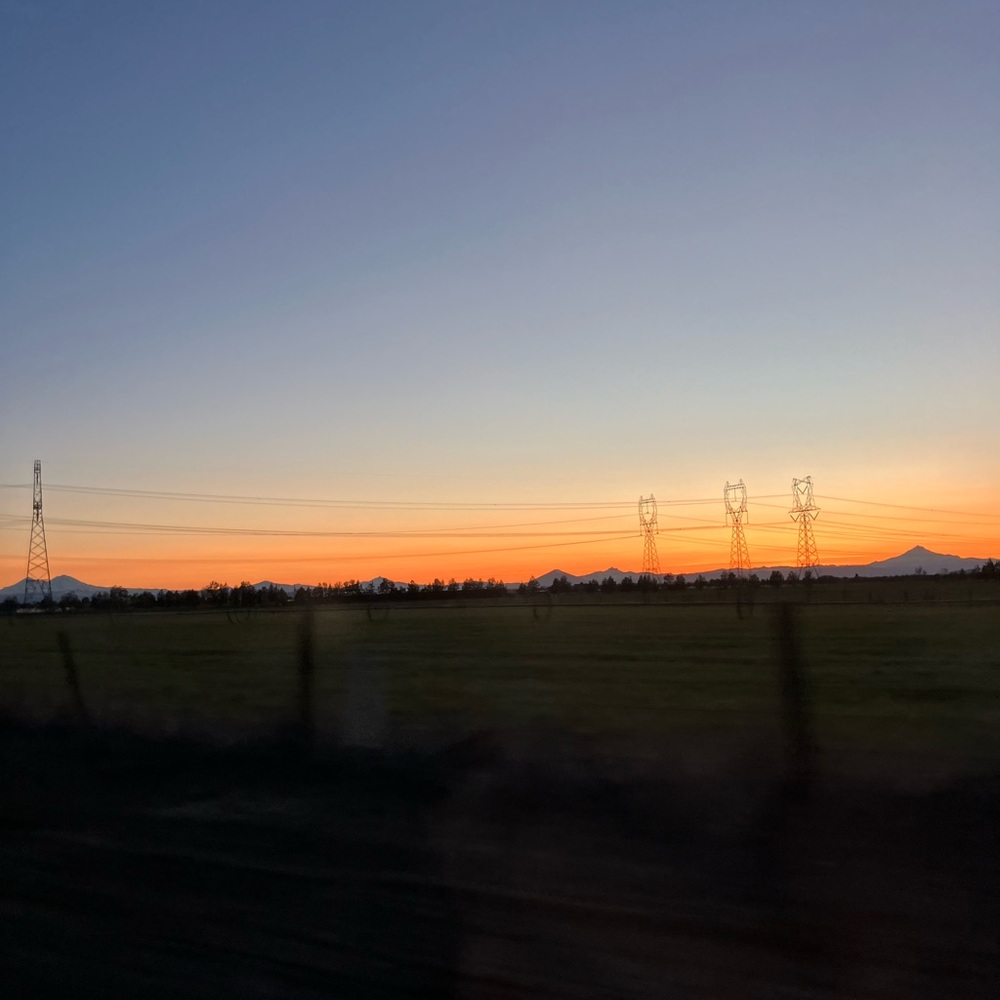 Meet your Posher, Sienna